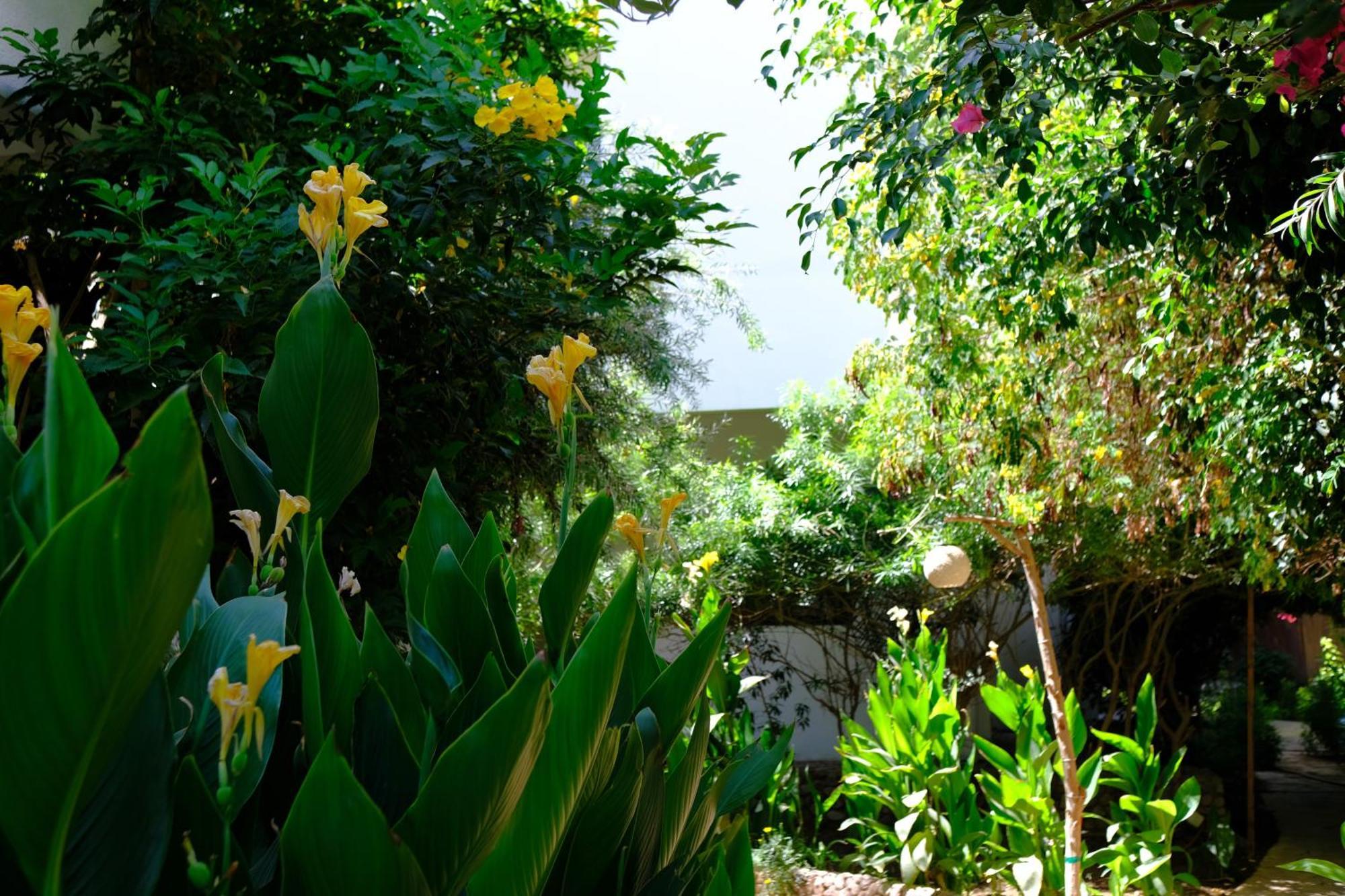 Viking Club Hotel ชาร์มเอลชีค ภายนอก รูปภาพ